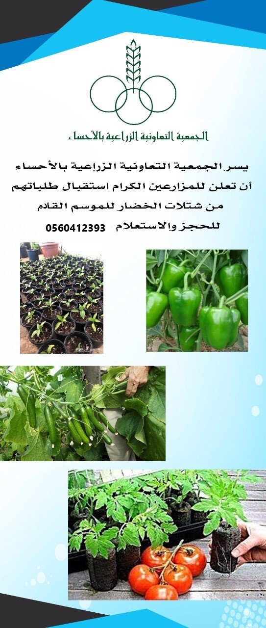 مشتل الجمعية